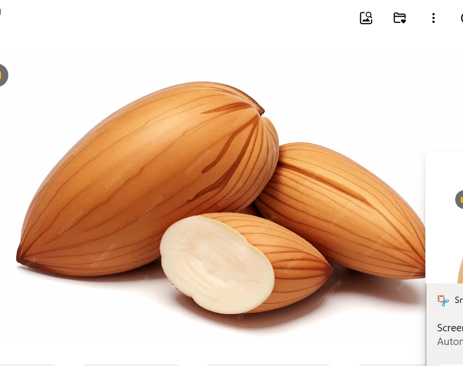 প্রিমিয়াম কাঠবাদাম (Almonds)